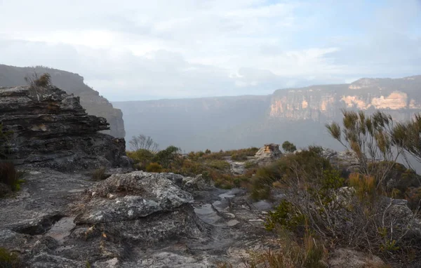 Sendero Para Caminar Mount Banks Las Montañas Azules Australia — Foto de Stock