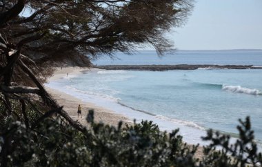 İnsanlar beyaz kum ve su suları tadını çıkarın. Hyams Beach Shoalhaven Jervis Körfezi kıyısında bir sahil köydür.