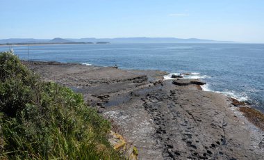 Jervis Bay deniz tarafında. Kaya, su ve orman. Avustralya. Jervis Bay sadece bu ülkede aynı zamanda dünyanın en net suları ve en beyaz kumları için ünlüdür.