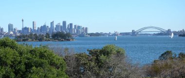 Görünümü Sydney Harbour Nielsen Parkı ve Sydney manzarası.