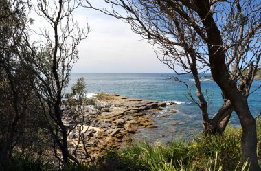 Jervis Bay deniz tarafında. Kaya, su ve orman. Avustralya. Jervis Bay sadece bu ülkede aynı zamanda dünyanın en net suları ve en beyaz kumları için ünlüdür.
