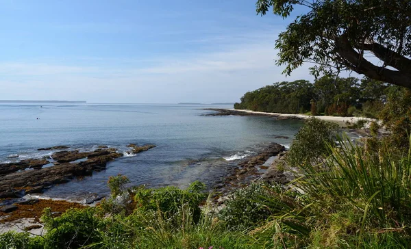 Jervis Bay Strony Morza Skały Woda Las Australia Jervis Bay — Zdjęcie stockowe