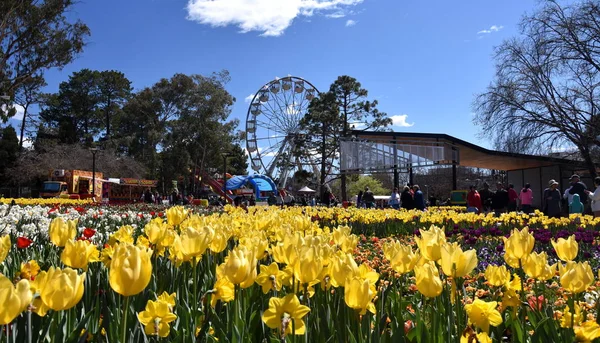 Canberra Australia Septiembre 2018 Rueda Fortuna Festival Primavera Floriade Masas — Foto de Stock