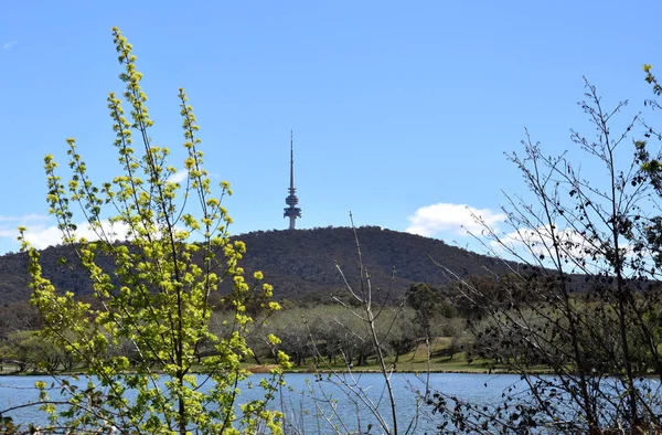 Panoramic view of Black Mountain Tower (Telstra Tower) and Lake Burley Griffin in  Canberra, Australia,