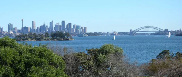 Pohled Sydney Siluetu Sydney Harbour Nielsen Park — Stock fotografie