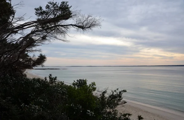 Lado Del Mar Jervis Bay Rocas Agua Bosque Australia Jervis — Foto de Stock