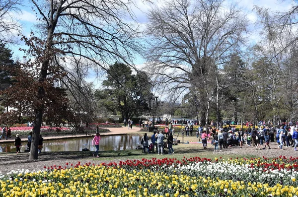 Canberra Australia Septiembre 2018 Gente Disfruta Soleada Primavera Commonwealth Park — Foto de Stock