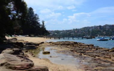 Küçük bir sessiz plaj erkekçe Cove, piknik için mükemmel ve tükürmek erkekçe geçit için kırk sepetleri plajıdır. Ön, arka planda kırk sepetleri İskelesi kayalar.
