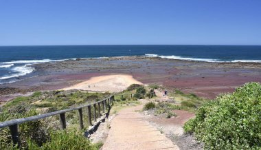 Uzun resif Headland düşük gelgit (Sydney Nsw Avustralya). İkonik headland kurtuluş ordusu tarafından sahibi olduğu ama şimdi halka ait.