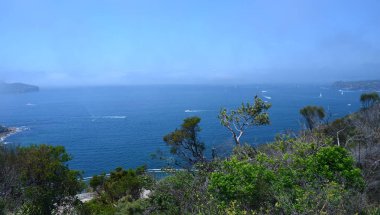 Dobroyd kafa uyanık Sydney Harbour Kuzey baş ve Güney kafa görünümünden.