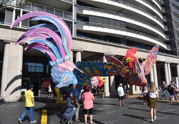 Sydney Ausztrália 2019 Február Nagyobb Mint Kakas Alakú Lámpások Kínai — Stock Fotó