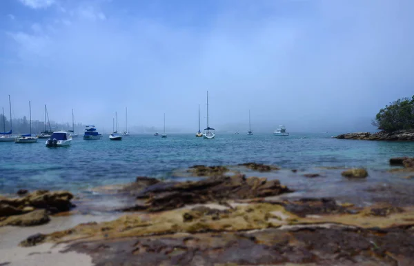 Yachts North Harbour Fourty Baskets Beach Foggy Day Manly Background — Stock Photo, Image