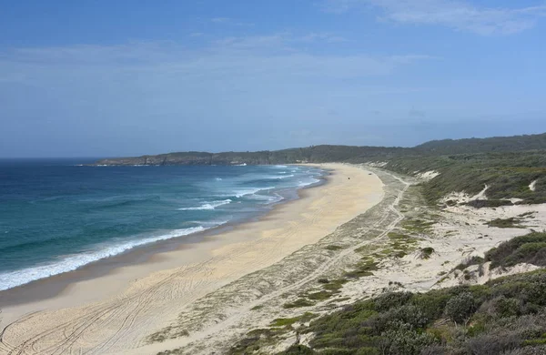 Vista Aves Playa Del Faro Seal Rocks Nsw Australia Día — Foto de Stock