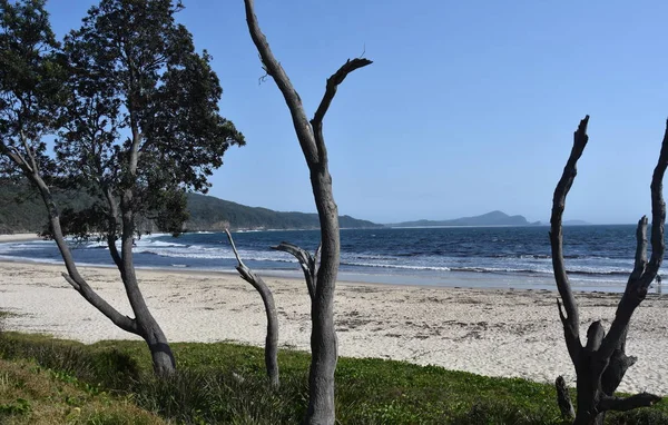 Blick Auf Die Küste Der Nähe Von Seal Rocks Einem — Stockfoto