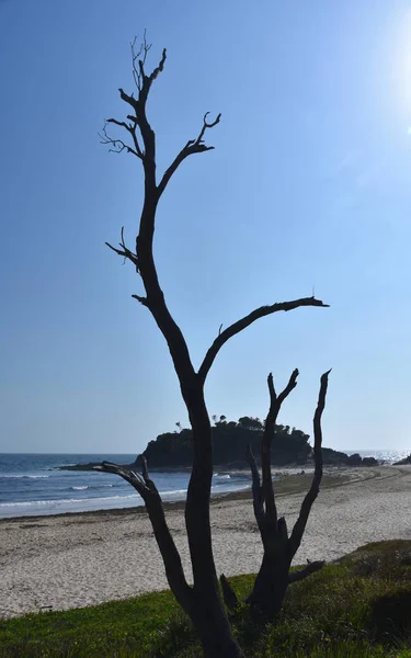 Lihat Pantai Dekat Seal Rocks Pada Hari Yang Cerah Pulau — Stok Foto