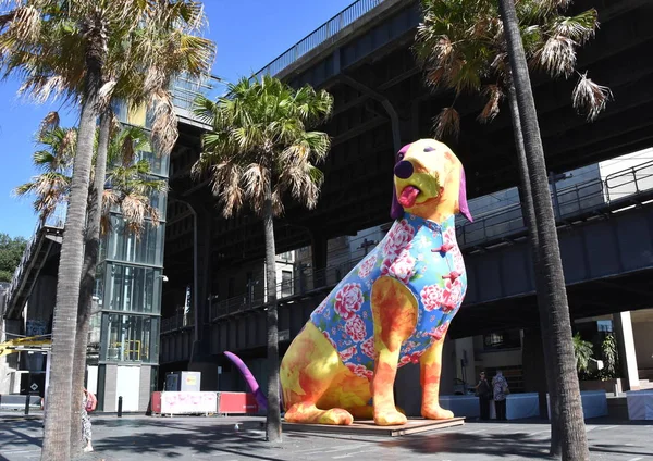 Sydney Ausztrália 2019 Február Nagyobb Mint Kutya Alakú Lámpások Kínai — Stock Fotó