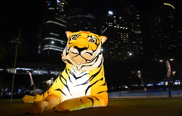 Sydney Australia Feb 2019 Larger Life Lanterns Shape Tiger Chinese — Stock Photo, Image