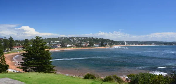 Panoramisch Zicht Van Collaroy Strand Een Zonnige Dag Een Geweldige — Stockfoto