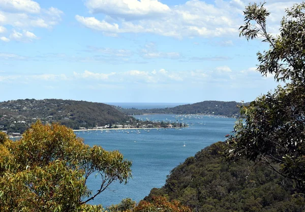 Άποψη Του Κόλπου Του Pittwater Από Δυτικά Κεφάλι Δαχτυλίδι Gai — Φωτογραφία Αρχείου