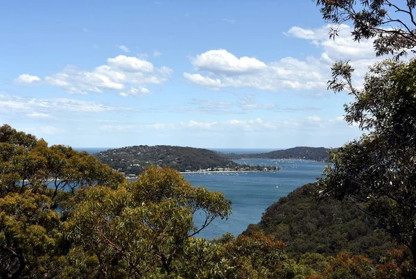 Veduta Della Baia Pittwater West Head Ring Gai Chase National — Foto Stock