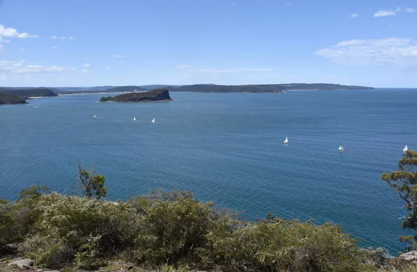 Uitzicht Lion Island Broken Bay Central Coast Achtergrond Uit West — Stockfoto