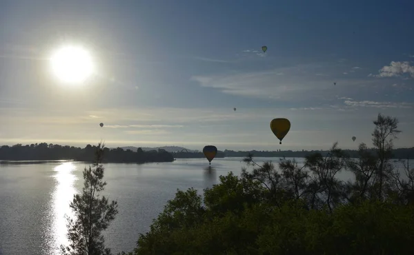 Canberra Australie Mars 2019 Montgolfières Volant Dans Les Airs Dessus — Photo