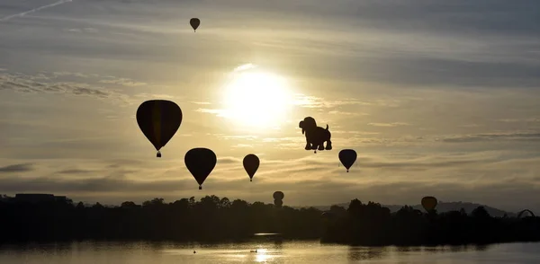 Canberra Australie Mars 2019 Montgolfières Volant Dans Les Airs Dessus — Photo