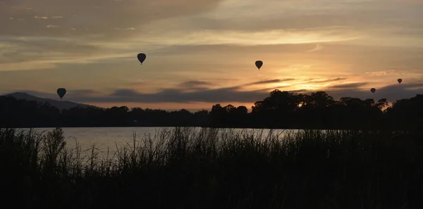 Montgolfières Volant Dans Les Airs Dessus Lac Burley Griffin Dans — Photo