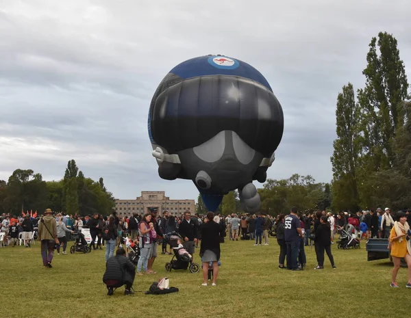 Canberra Ausztrália Március 2019 Nagy Sisakot Hőlégballon Indított Kertből Régi — Stock Fotó