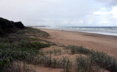 Woolgoolga, Woolgoolga Headland ve Yeni Güney Galler, Avustralya plaj Panoramik manzara. 