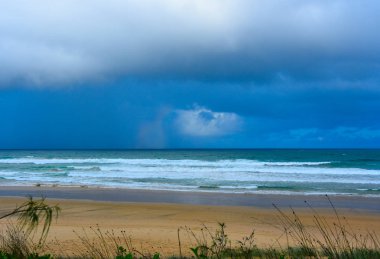 Woolgoolga, Woolgoolga Headland ve Yeni Güney Galler, Avustralya plaj Panoramik manzara. 