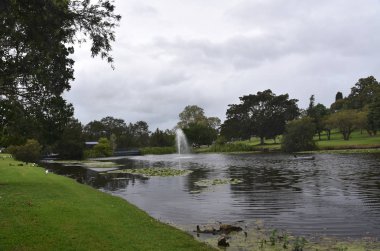yeşil bitkiler ve bulutlu gökyüzü ile parkın doğal görünümü