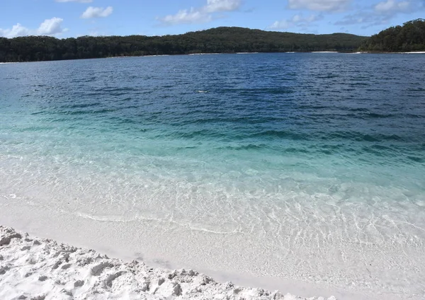 Lago Mackenzie Fraser Island Largo Sunshine Coast Queensland — Fotografia de Stock