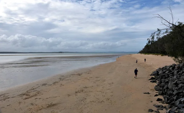 뉴사우스웨일즈의 울굴가 울굴가 헤드랜드 해변의 파노라마 — 스톡 사진