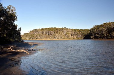Woolgoolga, Woolgoolga Headland ve Yeni Güney Galler, Avustralya plaj Panoramik manzara