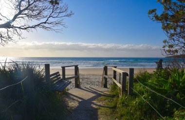 Woolgoolga, Woolgoolga Headland ve Yeni Güney Galler, Avustralya plaj Panoramik manzara