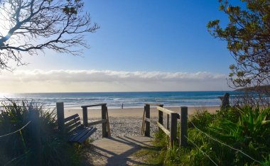 Woolgoolga, Woolgoolga Headland ve Yeni Güney Galler, Avustralya plaj Panoramik manzara