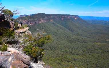 Blue Mountains, Avustralya'da Jamison ve Megalong vadilerini bölen Narrowneck platosunun manzara manzarası