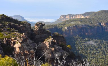 Blue Mountains, Avustralya'da Jamison ve Megalong vadilerini bölen Narrowneck platosunun manzara manzarası