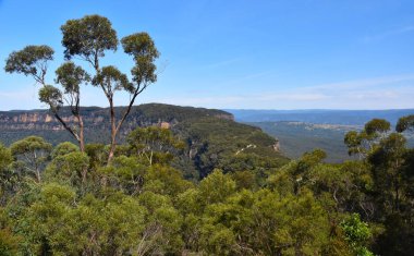 Blue Mountains, Avustralya'da Jamison ve Megalong vadilerini bölen Narrowneck platosunun manzara manzarası