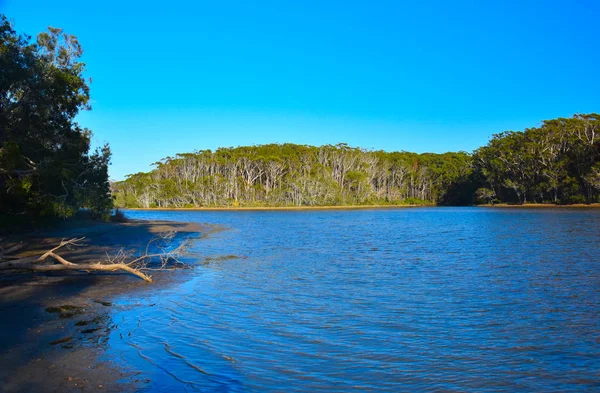 Panoráma Táj Woolgoolga Woolgoolga Hegyvidék Strand Dél Wales Ausztrália — Stock Fotó