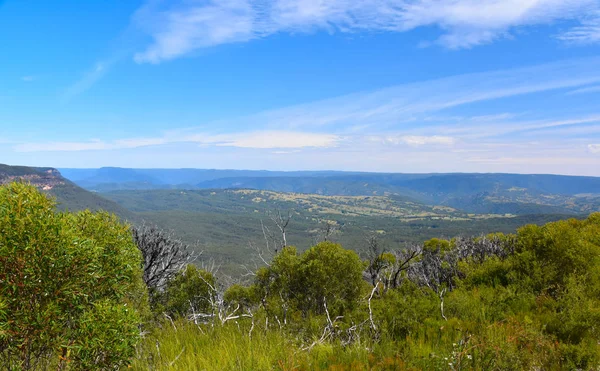 Vista Panorâmica Planalto Narrowneck Que Divide Vales Jamison Megalong Blue — Fotografia de Stock