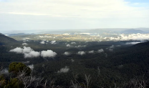 Scenic View Narrowneck Plateau Which Divides Jamison Megalong Valleys Blue — Stock Photo, Image
