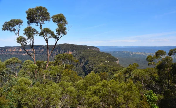 Blue Mountains Avustralya Jamison Megalong Vadilerini Bölen Narrowneck Platosunun Manzara — Stok fotoğraf