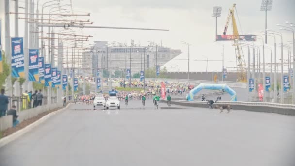 20 maggio 2018, Kazan, Russia - Kazan Marathon - Passando la maratona per le strade della città - il cane attraversa la traccia — Video Stock