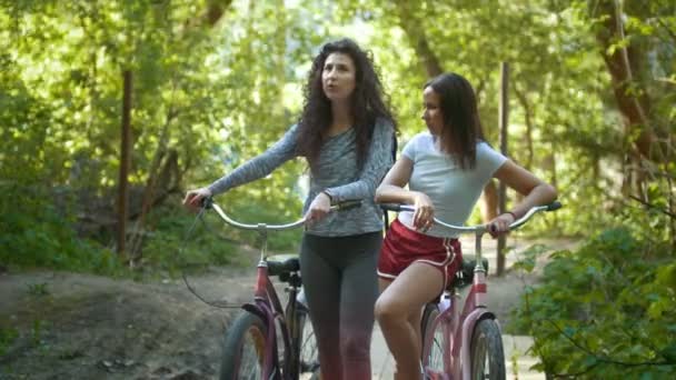 Två kvinnor på cyklar i parken, sommardag — Stockvideo