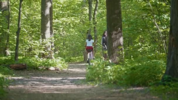 Dois famale passeio ao longo do caminho para o matagal do Parque, dia de verão, vista traseira — Vídeo de Stock