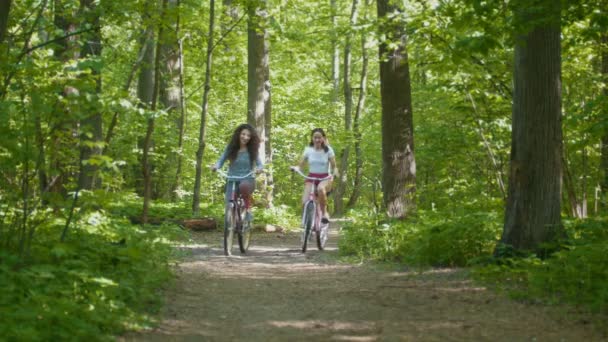 Jízda na kole procházka v parku dva cyklisté famale, slunečný den, pohled zepředu — Stock video