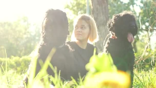 Dois cães e sua jovem amante em um passeio no Parque, a menina sorri, raios de sol brilhantes, dia de verão — Vídeo de Stock