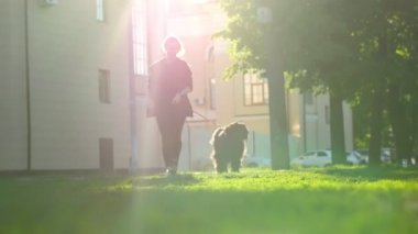 Kız ve köpek parkı ile ağaçlar ve binalar, arka plan üzerinde yaz günü çalışan bir leash üzerinde